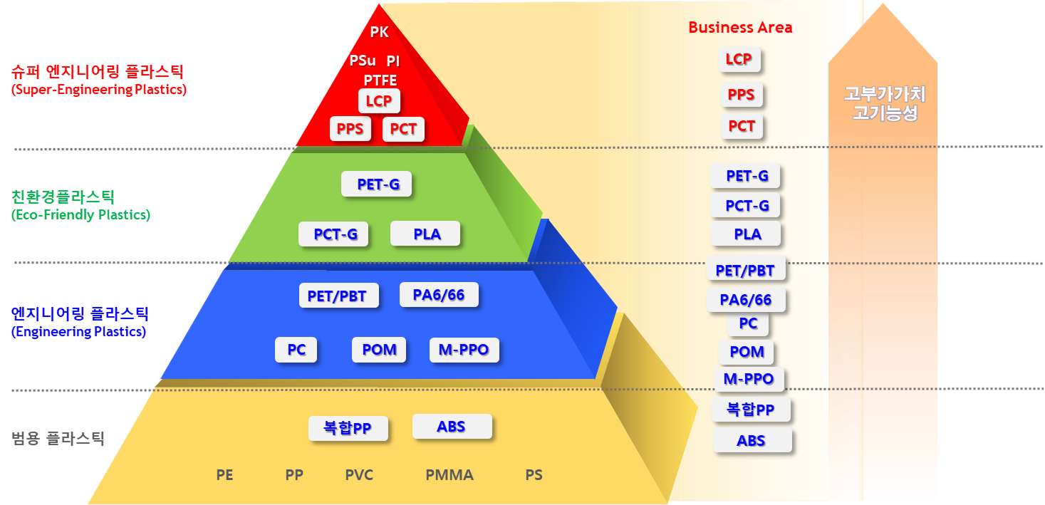 �Ƕ�̵� �̹���